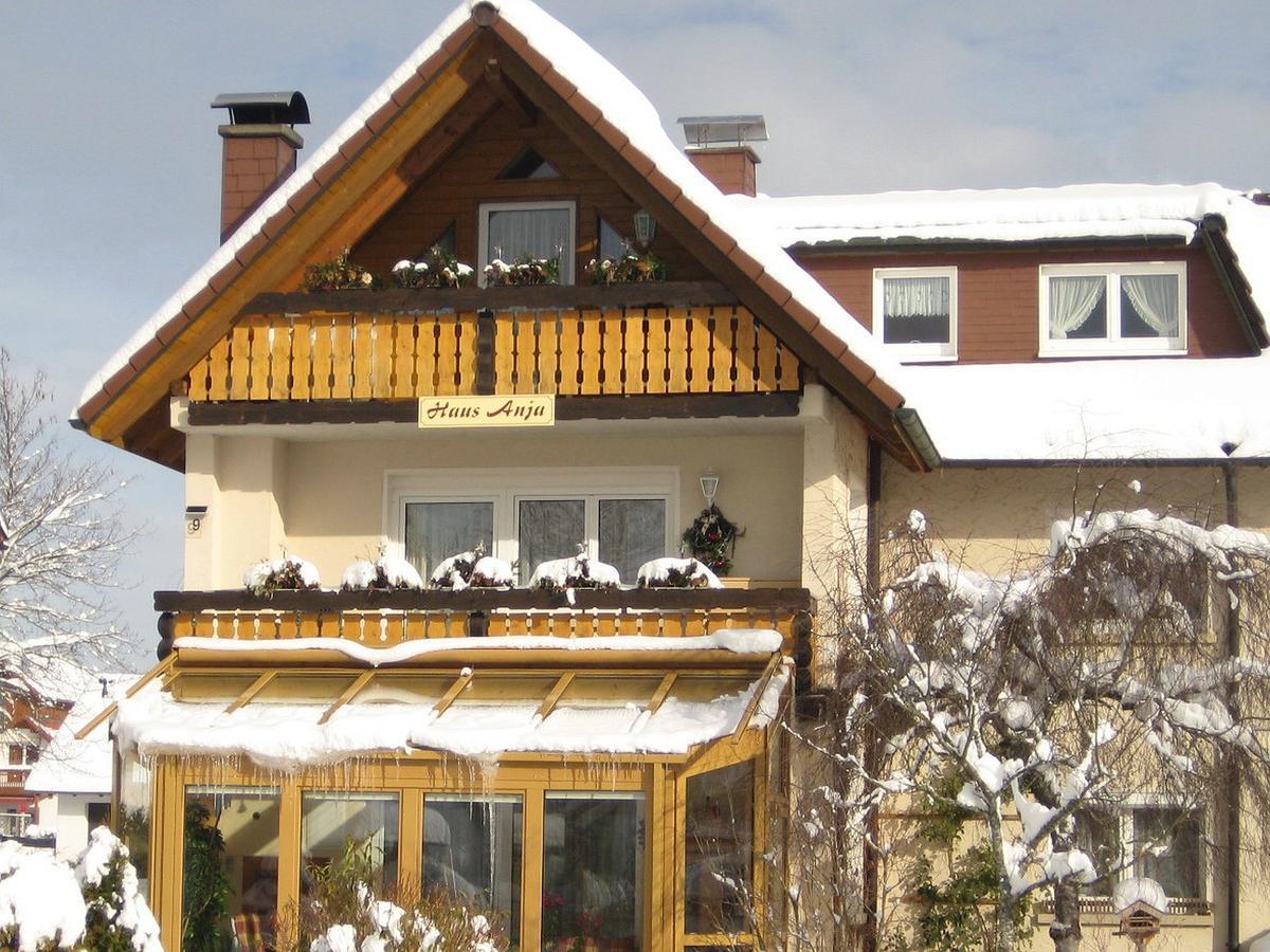 Appartement Haus Anja à Titisee-Neustadt Extérieur photo